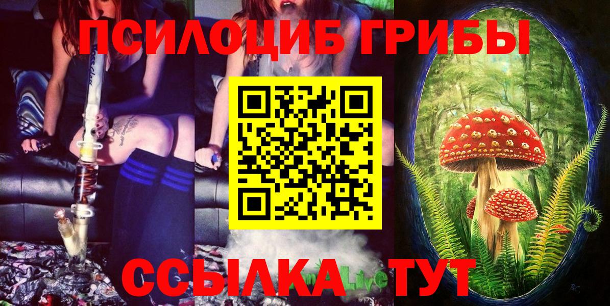 Галлюциногенные грибы MAGIC MUSHROOMS Большой Камень